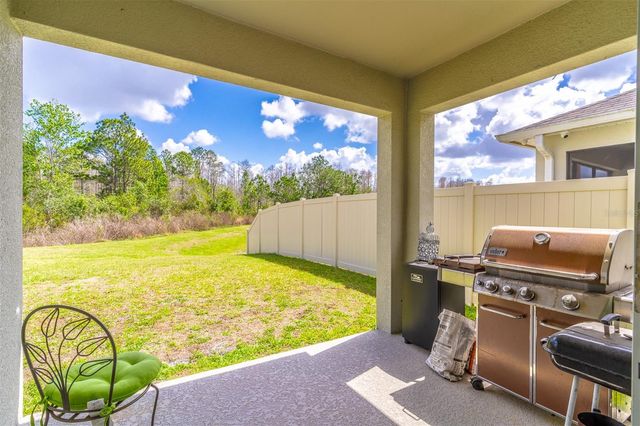 1419 FOX SQUIRREL DRIVE, Davenport, FL 33897