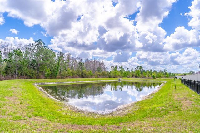 1419 FOX SQUIRREL DRIVE, Davenport, FL 33897