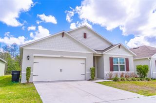 1419 FOX SQUIRREL DRIVE, Davenport, FL 33897