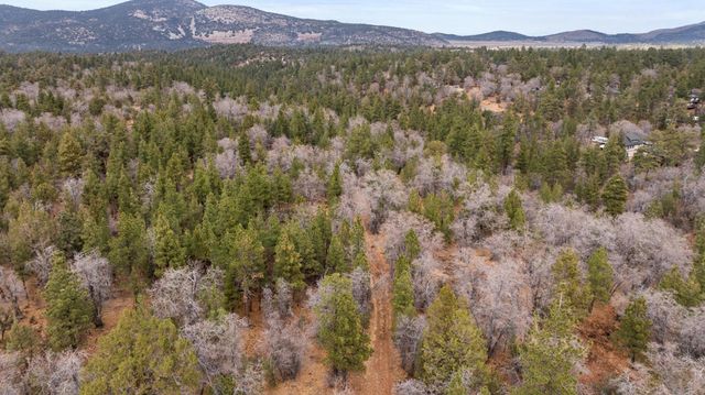 751 Needle Lane, Big Bear, CA 92314