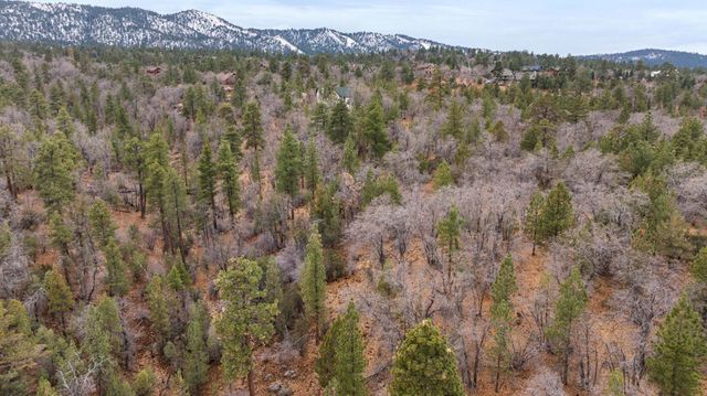 751 Needle Lane, Big Bear, CA 92314