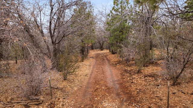 751 Needle Lane, Big Bear, CA 92314