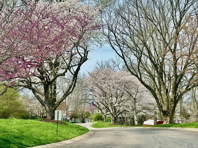 231 Green Harbor Rd Unit 92, Old Hickory, TN 37138