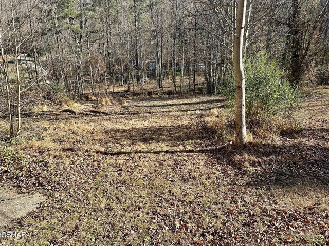 3528 Sugar Camp Circle, Sevierville, TN 37862