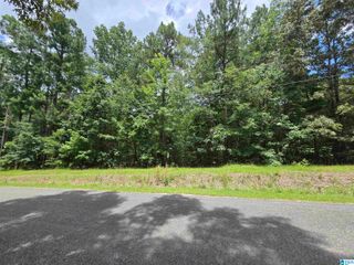 171 RIVER CREST DRIVE, Vincent, AL 35178
