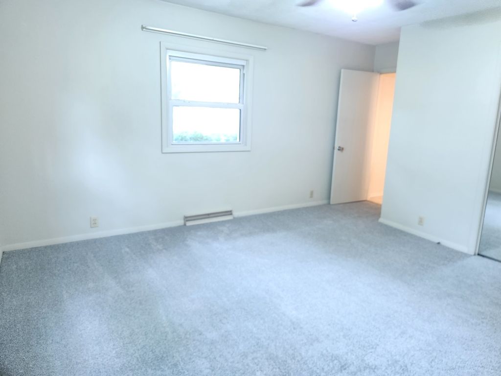 Image 14 of property listing at 211 E Depew Street, Odin, IL 62870