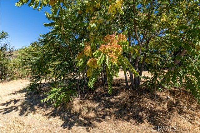 9232 Bonita Drive, Cherry Valley, CA 92223