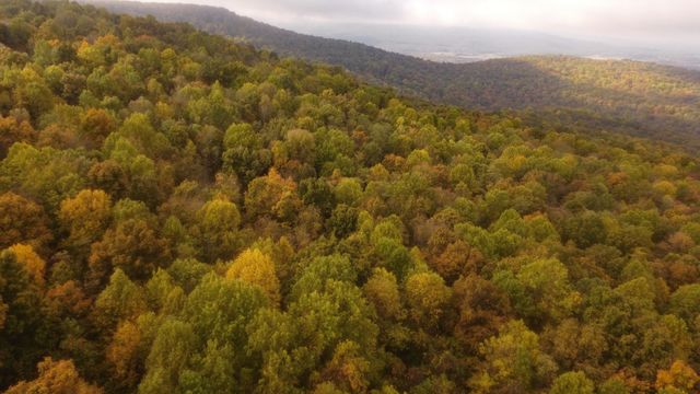 0 Clouse Hill Rd, Pelham, TN 37366