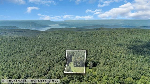 0 Melody Drive, Guild, TN 37340