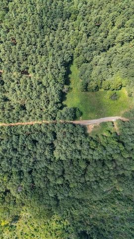 0 Melody Drive, Guild, TN 37340
