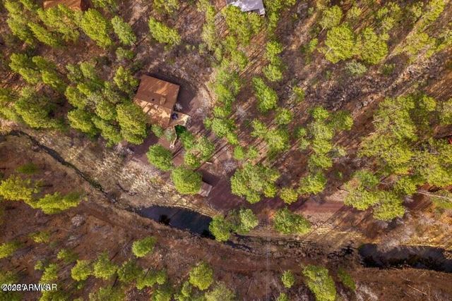 571 W PINE SHADOW Drive, Lakeside, AZ 85929