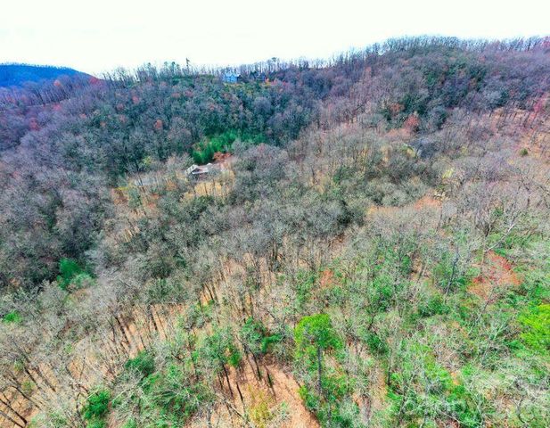 94 Caddis Lane, Horse Shoe, NC 28742