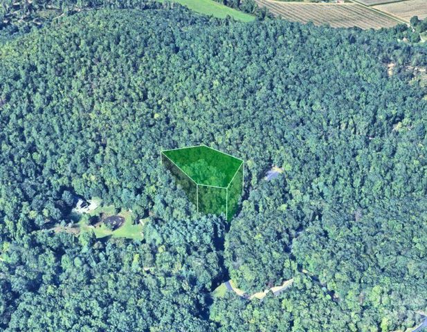 94 Caddis Lane, Horse Shoe, NC 28742