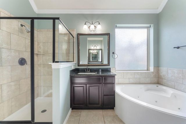 130 Springshed Place, Montgomery, TX 77316