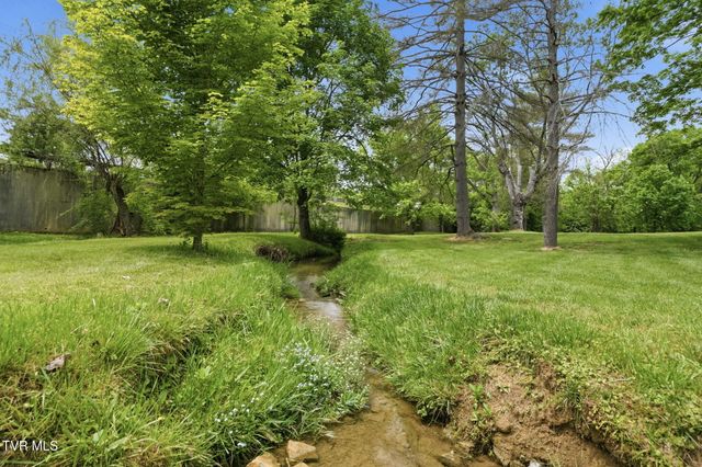 240 Maplehurst Lane, Bluff City, TN 37618