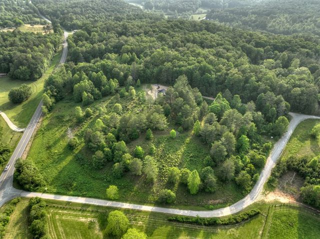 0 Spur 60, Mineral Bluff, GA 30559
