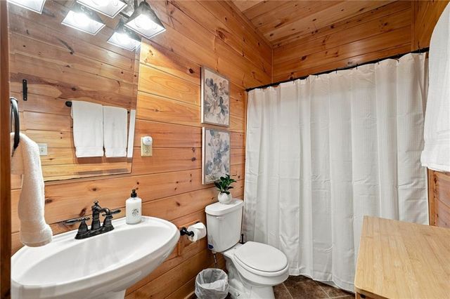 405 Donna Lee Lane, Mineral Bluff, GA 30559