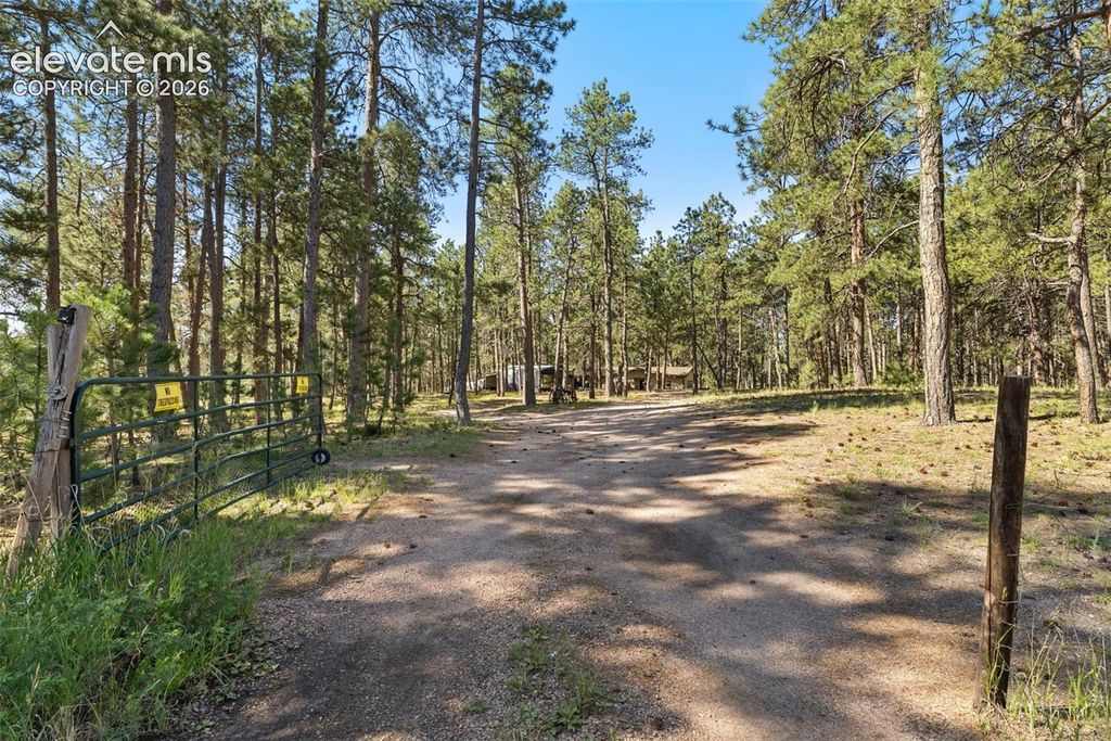 7005 Shoup Road, Colorado Springs, CO 80908 — photo 2