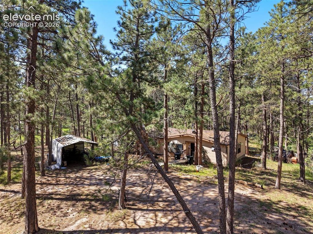 7005 Shoup Road, Colorado Springs, CO 80908 — photo 3