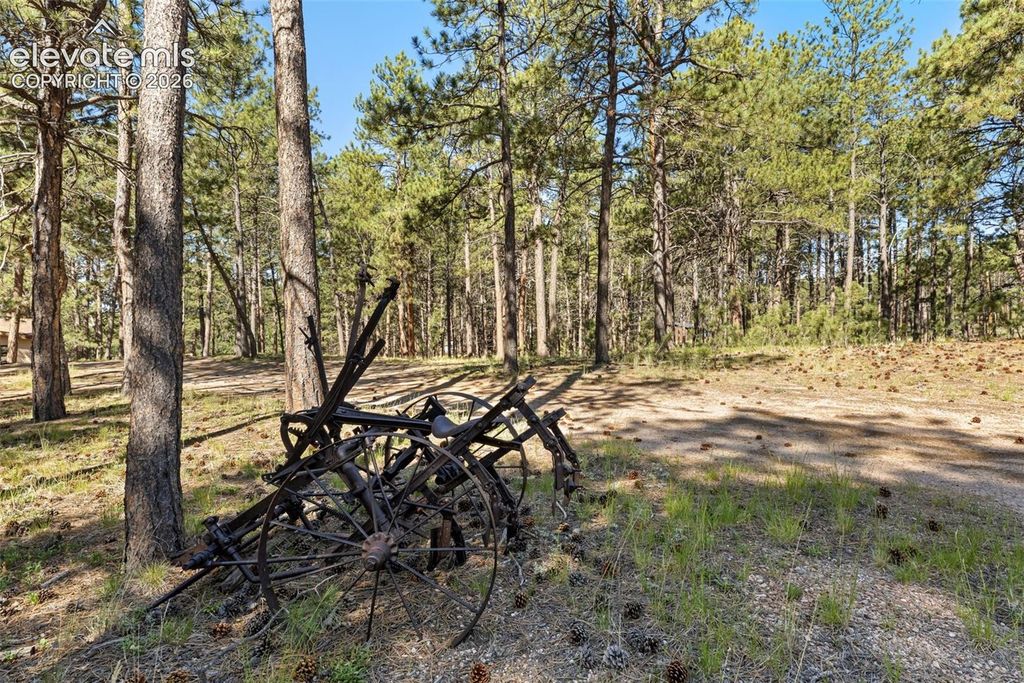 7005 Shoup Road, Colorado Springs, CO 80908 — photo 5
