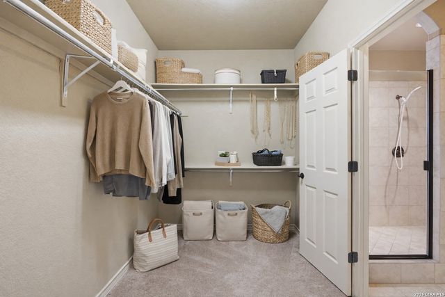 9618 Bricewood Tree, San Antonio, TX 78254