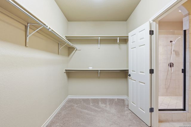 9618 Bricewood Tree, San Antonio, TX 78254