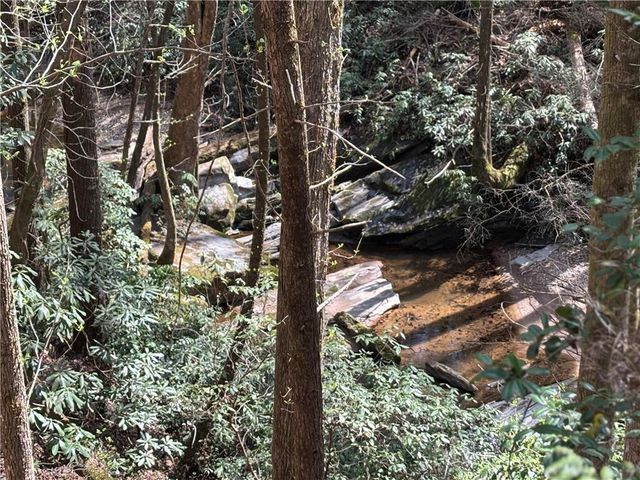 227 River Ridge S Road, Dahlonega, GA 30533