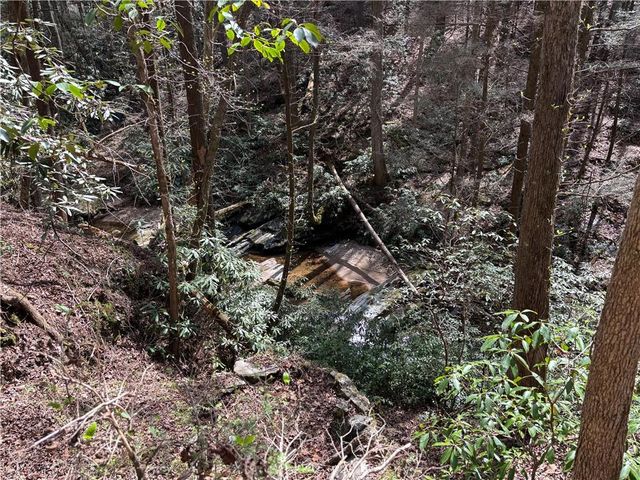 227 River Ridge S Road, Dahlonega, GA 30533