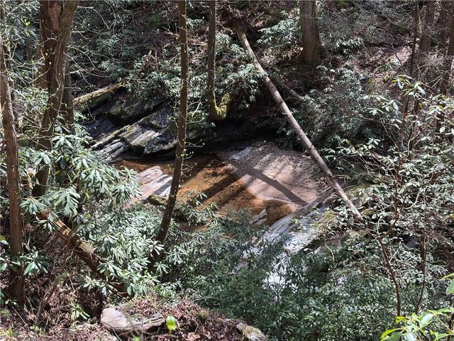 227 River Ridge S Road, Dahlonega, GA 30533