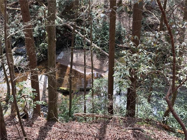 227 River Ridge S Road, Dahlonega, GA 30533