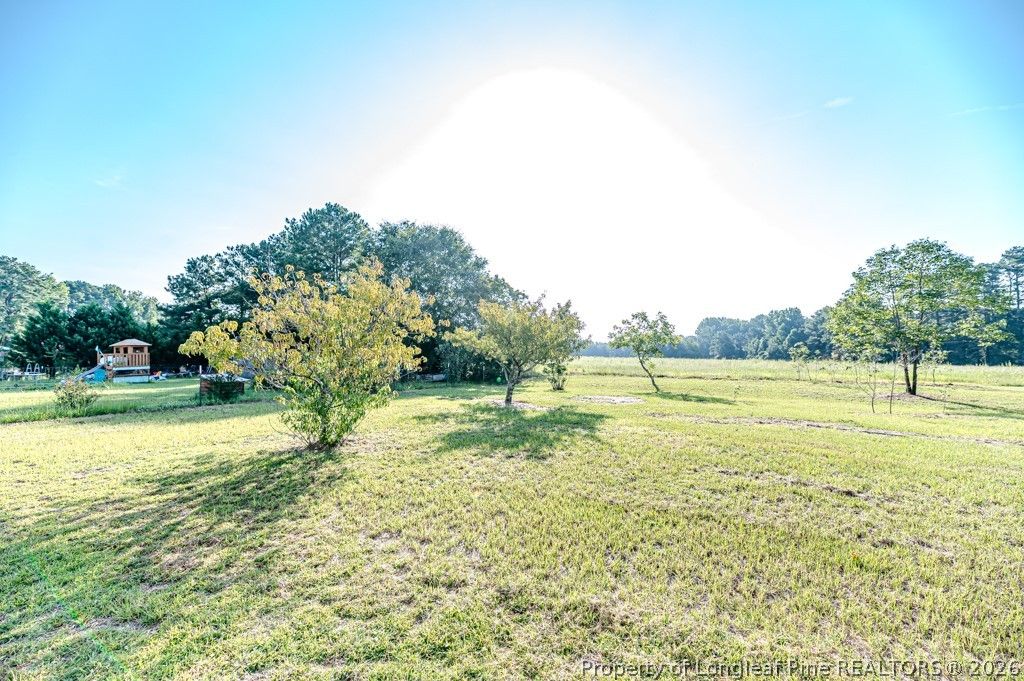 160 Water Hills Lane, Carthage, NC 28327 — photo 4