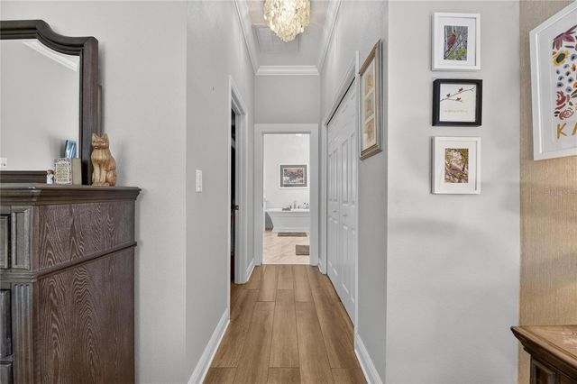 5517 MERRITT ISLAND DRIVE, Apollo Beach, FL 33572