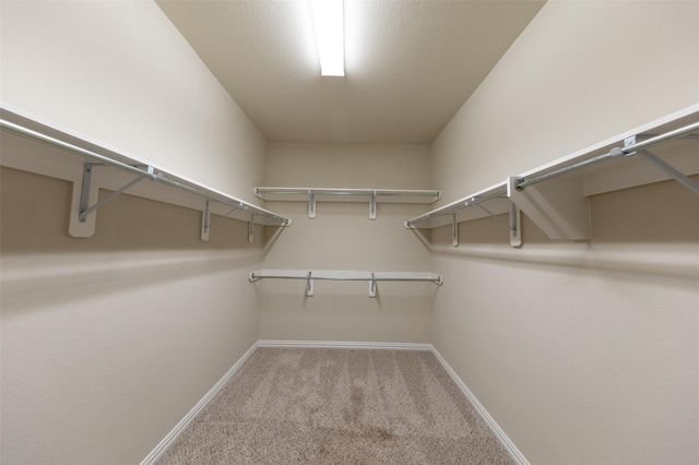 10406 Mossback Pine Road, Katy, TX 77494