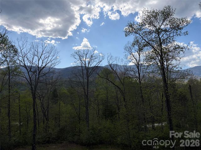 000 Mt. Mitchell Drive, Burnsville, NC 28714