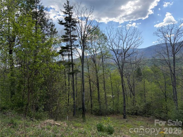 000 Mt. Mitchell Drive, Burnsville, NC 28714