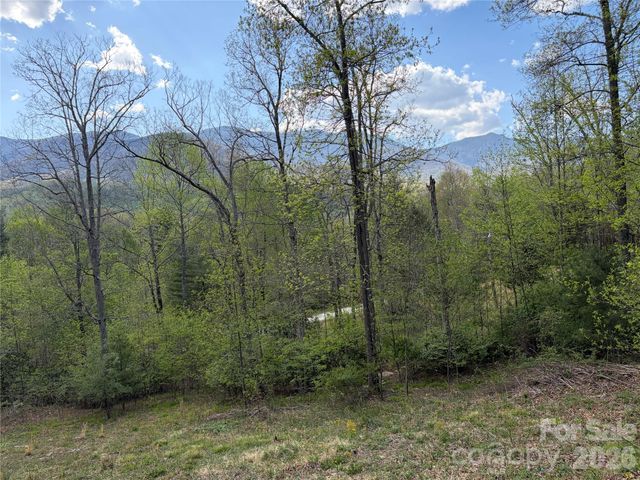 000 Mt. Mitchell Drive, Burnsville, NC 28714