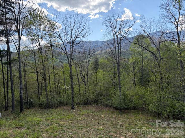 000 Mt. Mitchell Drive, Burnsville, NC 28714