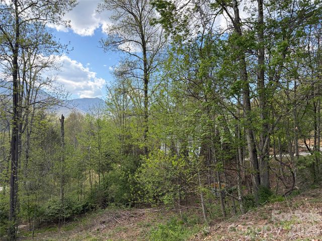 000 Mt. Mitchell Drive, Burnsville, NC 28714