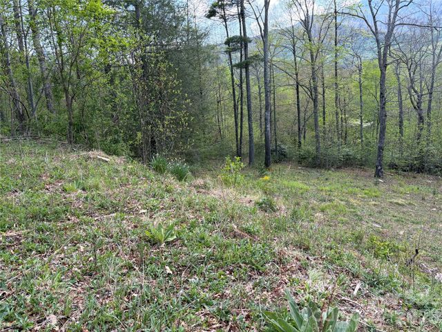 000 Mt. Mitchell Drive, Burnsville, NC 28714