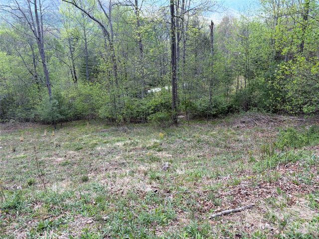 000 Mt. Mitchell Drive, Burnsville, NC 28714