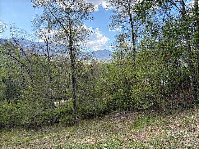 000 Mt. Mitchell Drive, Burnsville, NC 28714
