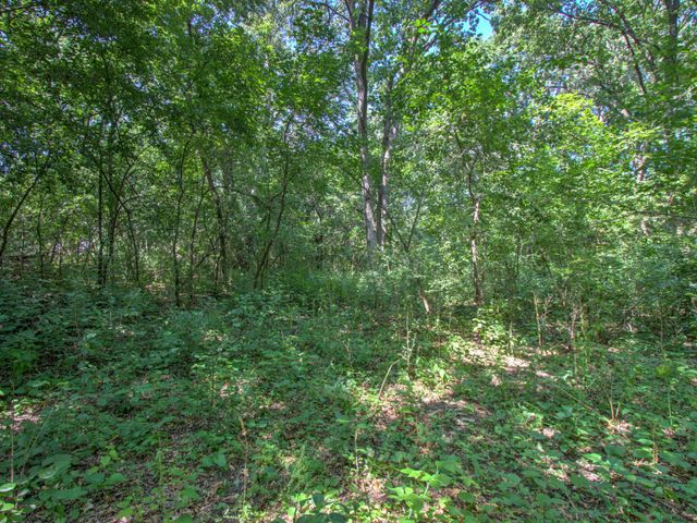 TBD Sodium Street NW, Ramsey, MN 55303