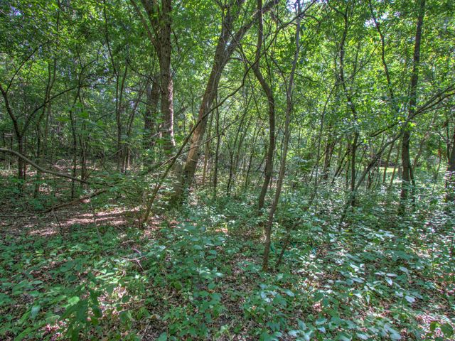 TBD Sodium Street NW, Ramsey, MN 55303