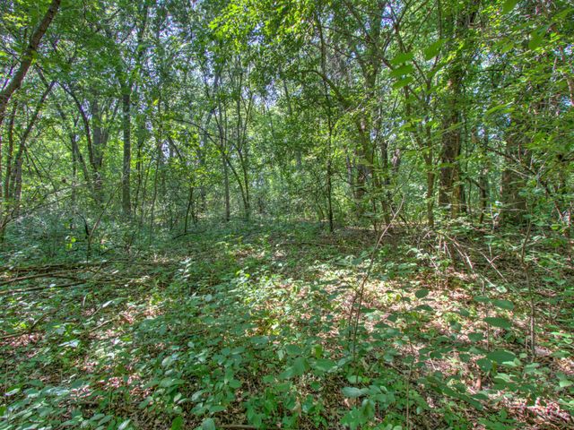 TBD Sodium Street NW, Ramsey, MN 55303