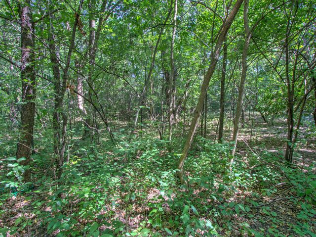 TBD Sodium Street NW, Ramsey, MN 55303