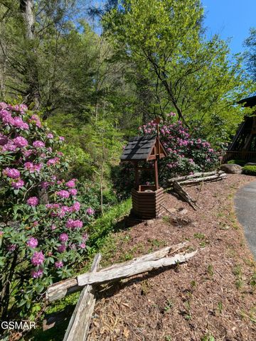 2202 Price Cove Road, Sevierville, TN 37876