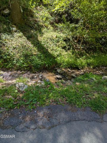 2202 Price Cove Road, Sevierville, TN 37876
