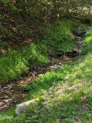 2202 Price Cove Road, Sevierville, TN 37876