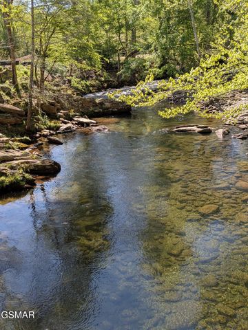 2202 Price Cove Road, Sevierville, TN 37876