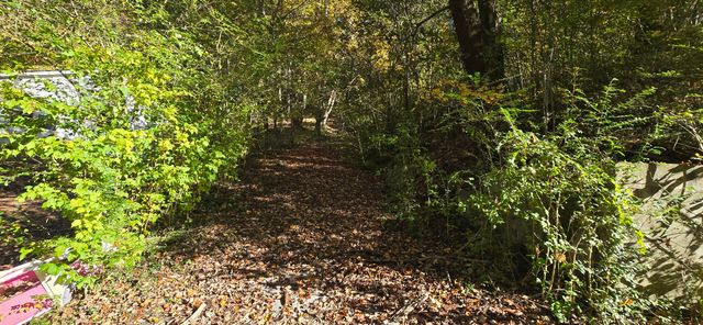 408 Hollywood Drive, Rossville, GA 30741